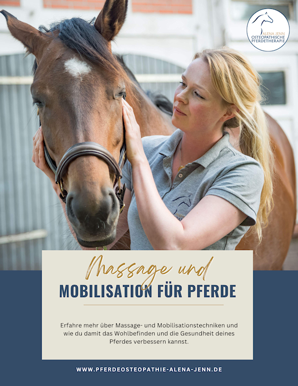 Massage und Mobilisation fuer Pferde